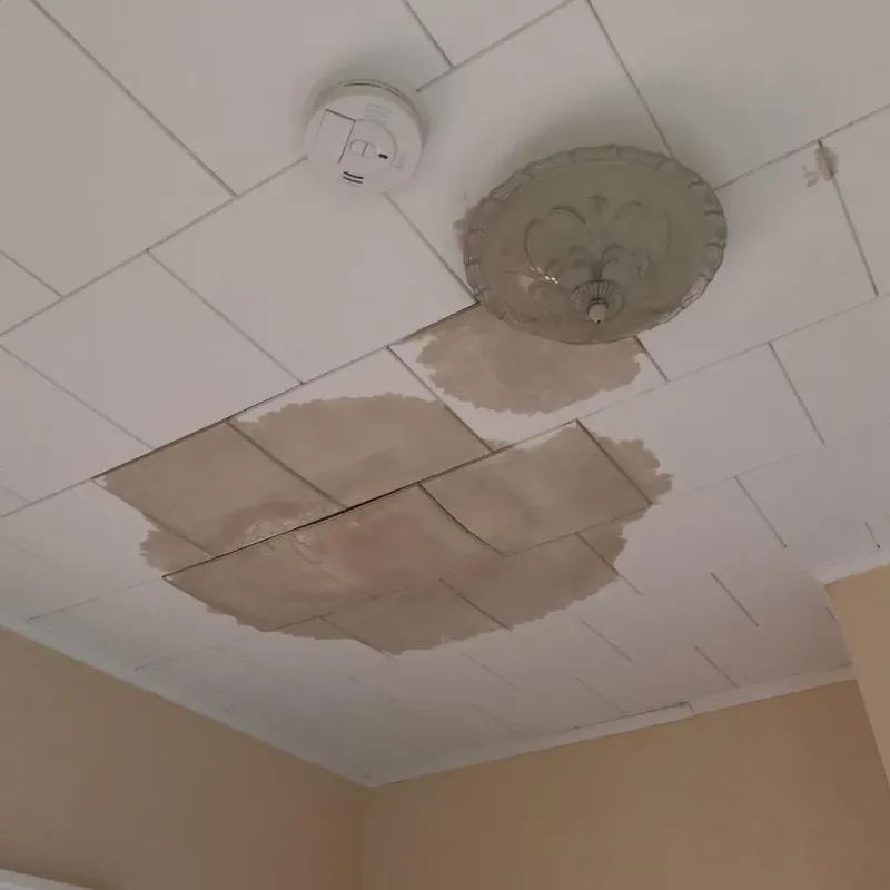 Ceiling Water Damage Repair in Canby, MN