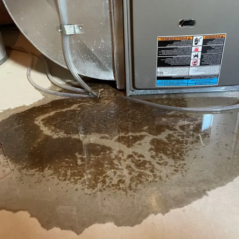 Pipe Burst and Leak Restoration in Canby, MN